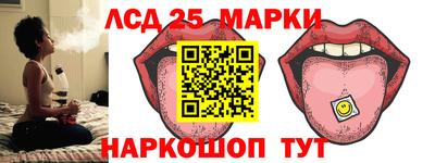 Альфа ПВП Новодвинск