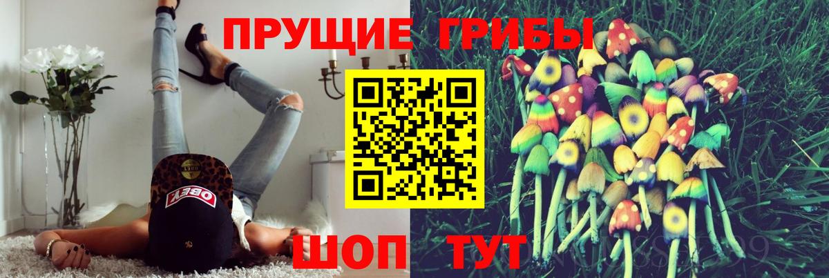 Псилоцибиновые грибы прущие грибы Старая Купавна